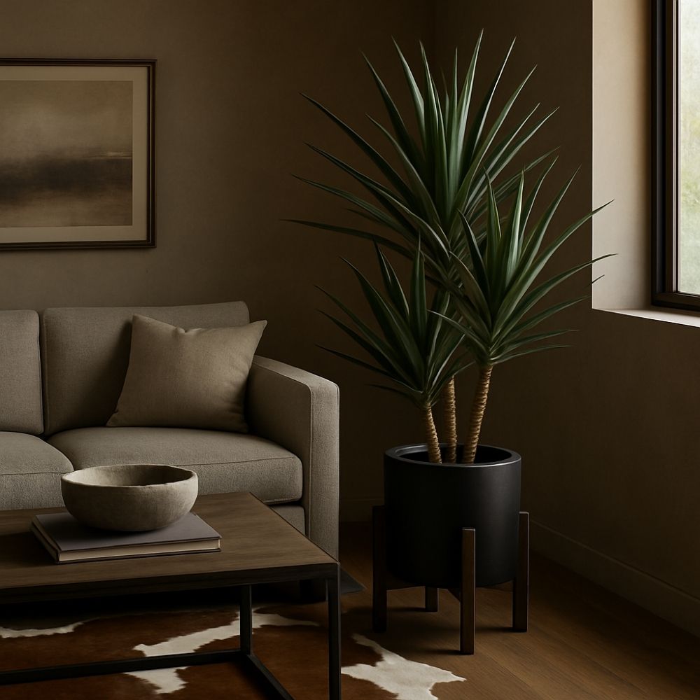 Artificial yucca plant in a matte black pot with wooden stand.