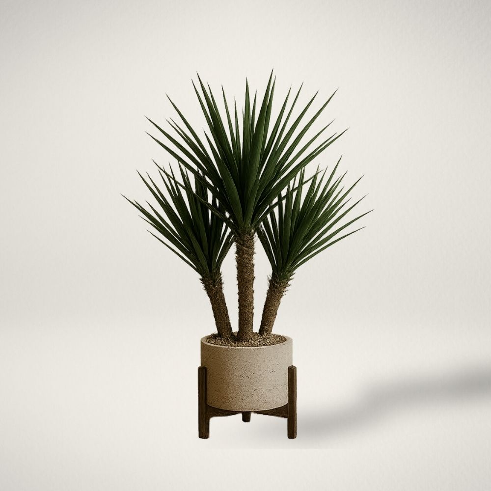 EG YUCCA RESTRATA Artificial yucca restrata plant in a textured beige pot with wooden stand.