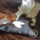 Natural brindle cowhide rug featuring deep brown and black tones with a striking white backbone and organic edges.
