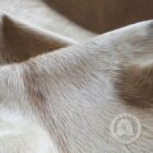 Natural champagne cowhide rug with soft neutral sheen and organic shape.