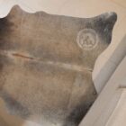 Natural grey-beige cowhide rug featuring soft neutral tones and organic shape.