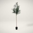 Artificial olive branch tree with slender trunk and lush green leaves in a black pot.