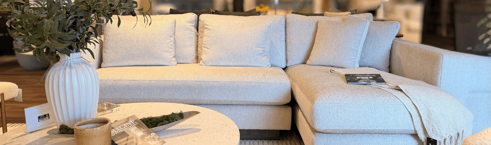 More Than a Furniture Store: A Curated Interior Design Showroom in Windsor, Ontario