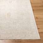 Light neutral area rug with a subtle vintage-inspired pattern in soft beige and ivory tones.