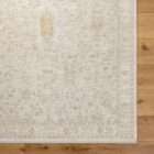 Light neutral area rug with a subtle vintage-inspired pattern in soft beige and ivory tones.