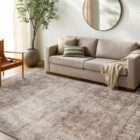 Distressed traditional area rug with intricate pattern in soft taupe, beige, and muted grey tones.